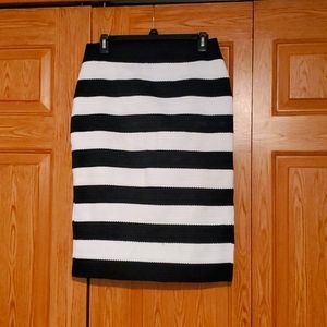 Express Skirt